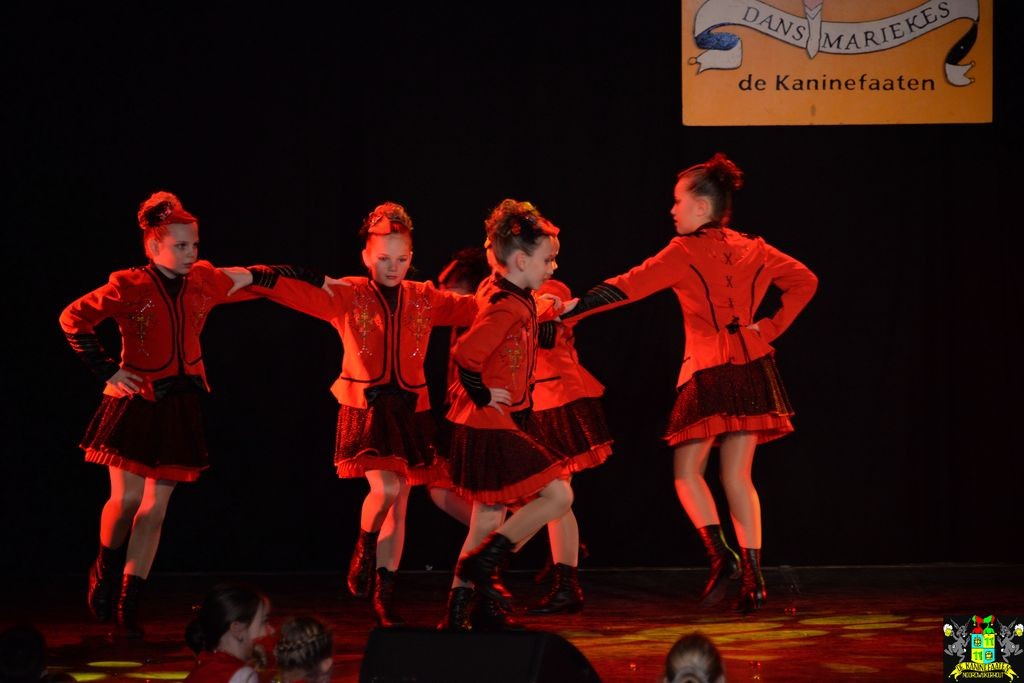 ../Images/Dansmarieke festival 2018 156.jpg